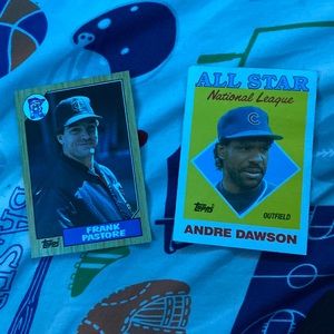 2 baseball cards and are it good condition and decent cards for a new collection